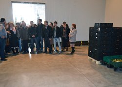Співпраця університету з підприємствами регіону: перспективи розвитку